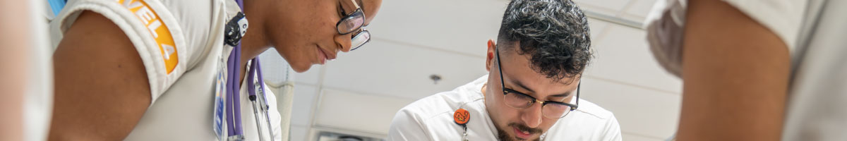 Banner Nursing image