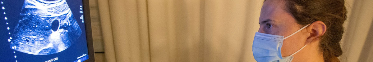 DMS Banner image