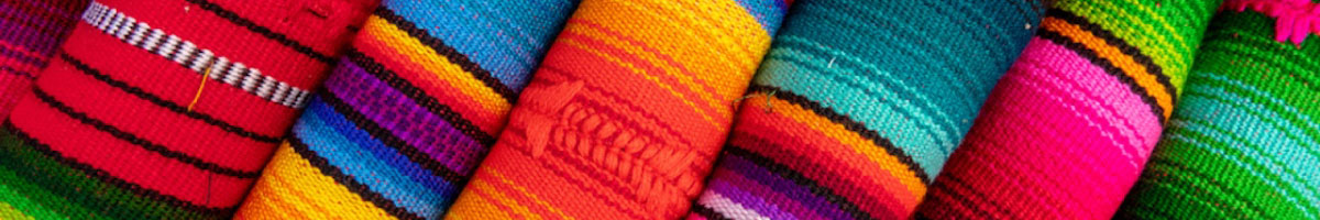 Latin American banner image
